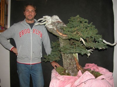 Big Spruce Big fun!!!! – Italian Bonsai Dream – Mauro Stemberger